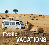 Exotic Vacations